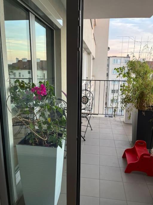 Apartment In Historical Center With Park View Plzen Luaran gambar