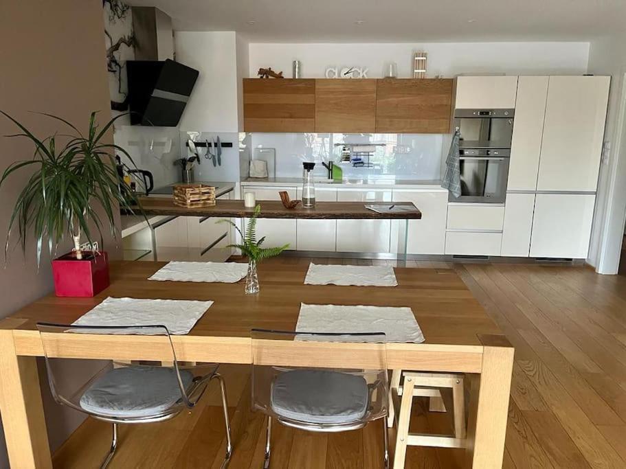 Apartment In Historical Center With Park View Plzen Luaran gambar