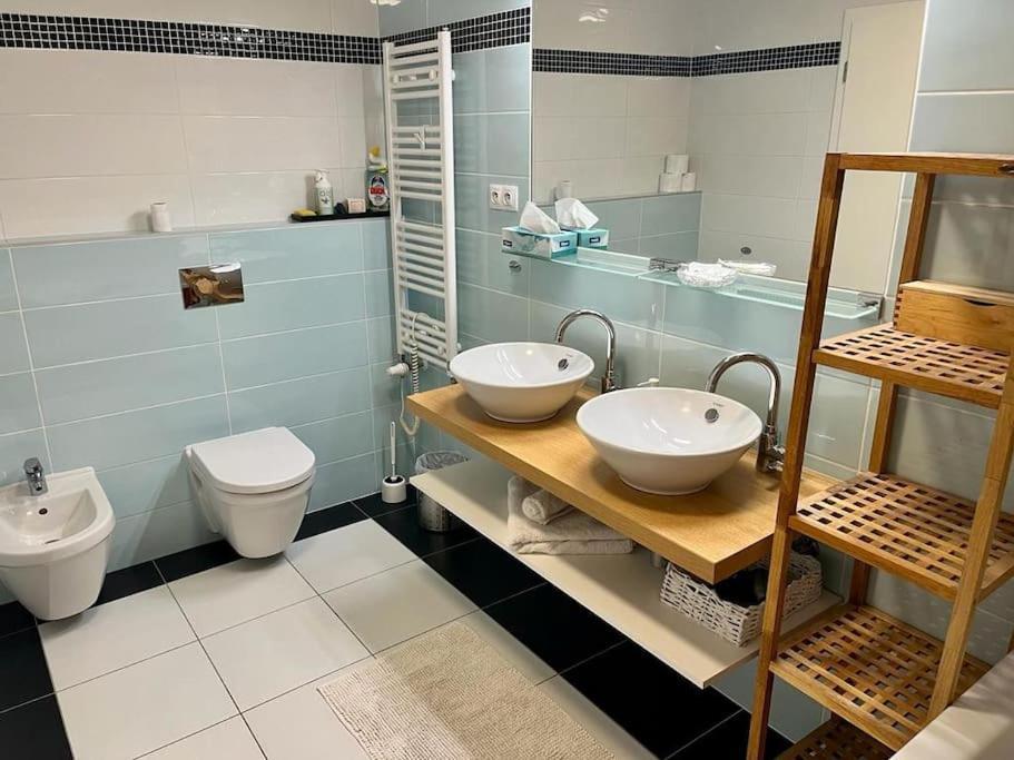 Apartment In Historical Center With Park View Plzen Luaran gambar
