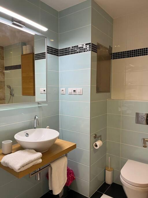 Apartment In Historical Center With Park View Plzen Luaran gambar