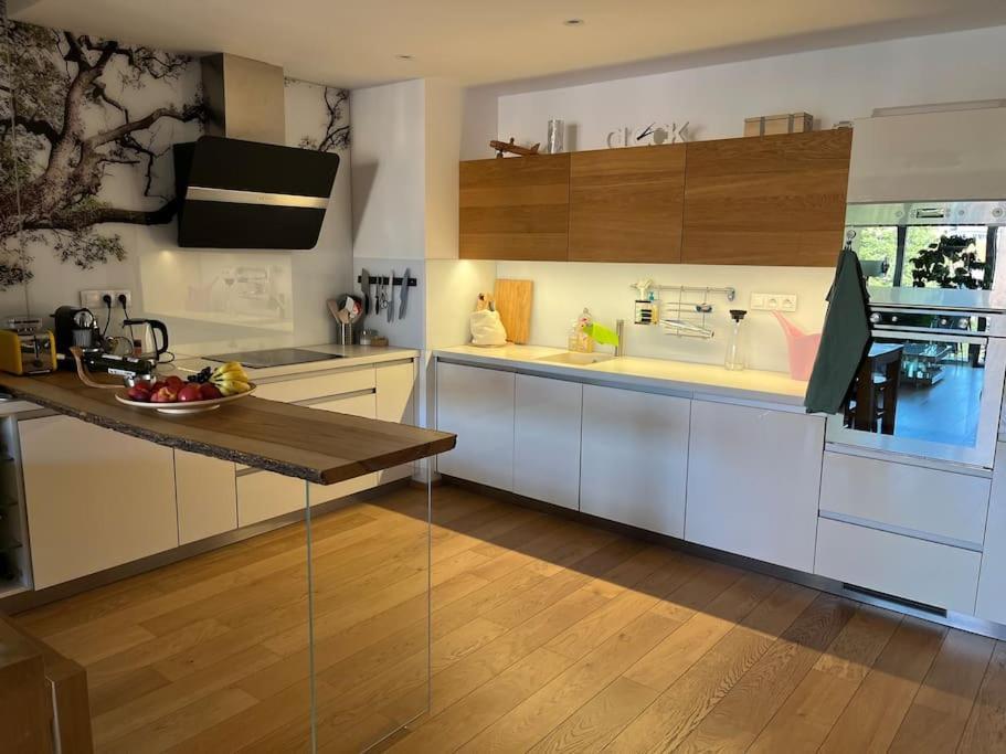 Apartment In Historical Center With Park View Plzen Luaran gambar
