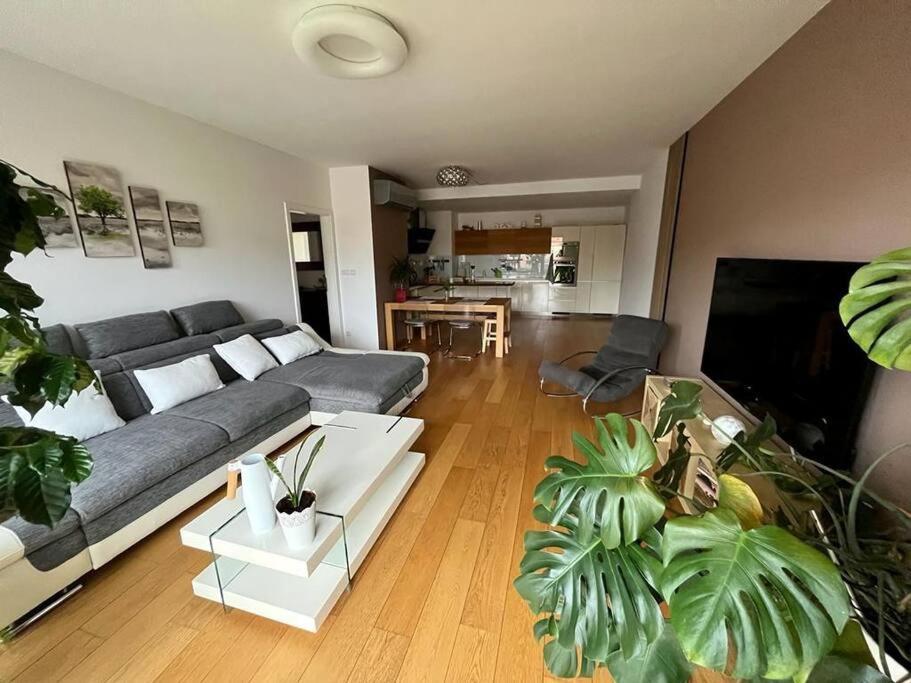 Apartment In Historical Center With Park View Plzen Luaran gambar
