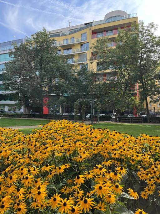 Apartment In Historical Center With Park View Plzen Luaran gambar